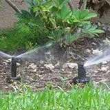 thumbnail for publication: Frequency of Residential Irrigation Maintenance Problems